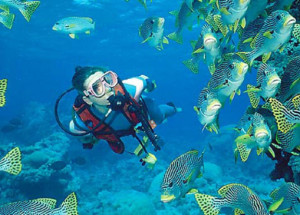 scubadiving